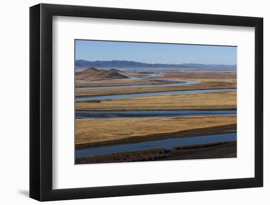 Distant Yaks Graze on the Banks of the Yellow River in Sichuan Province, China, Asia-Alex Treadway-Framed Photographic Print