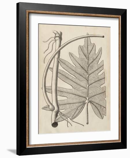Distinctive Leaves I-Vision Studio-Framed Art Print
