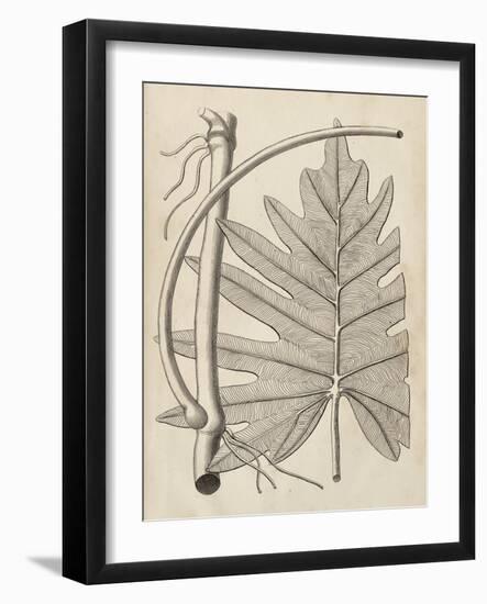 Distinctive Leaves I-Vision Studio-Framed Art Print