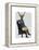 Distinguished Deer Full-Fab Funky-Framed Stretched Canvas