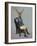 Distinguished Deer Full-Fab Funky-Framed Premium Giclee Print