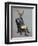 Distinguished Deer, Full-Fab Funky-Framed Art Print