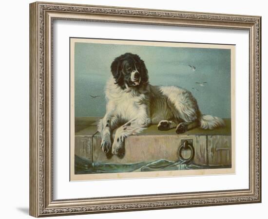 Distinguished Member of the Humane Society-null-Framed Art Print