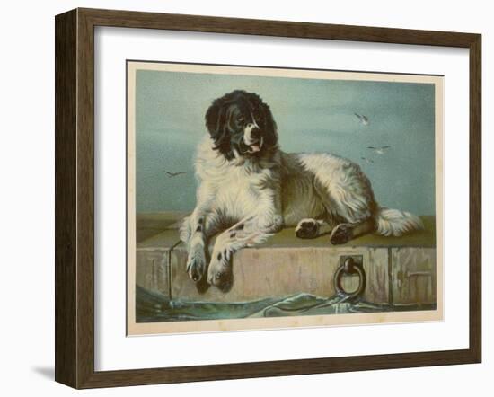 Distinguished Member of the Humane Society-null-Framed Art Print