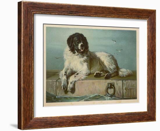 Distinguished Member of the Humane Society-null-Framed Art Print