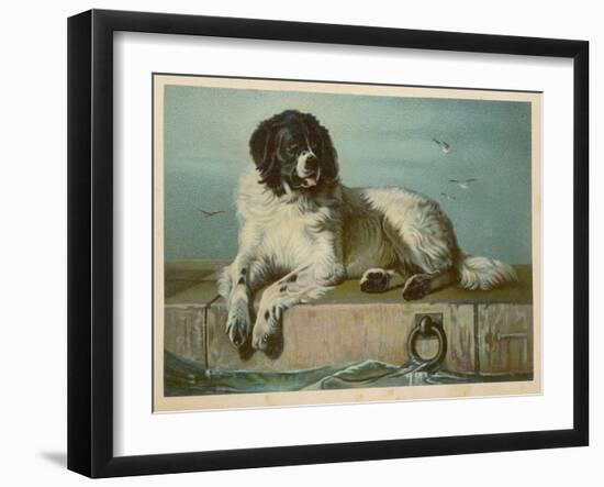 Distinguished Member of the Humane Society-null-Framed Art Print