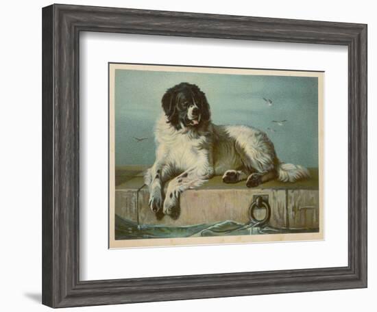 Distinguished Member of the Humane Society-null-Framed Art Print