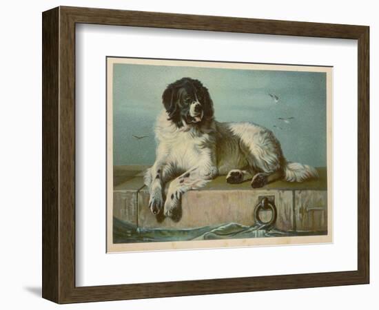 Distinguished Member of the Humane Society-null-Framed Art Print