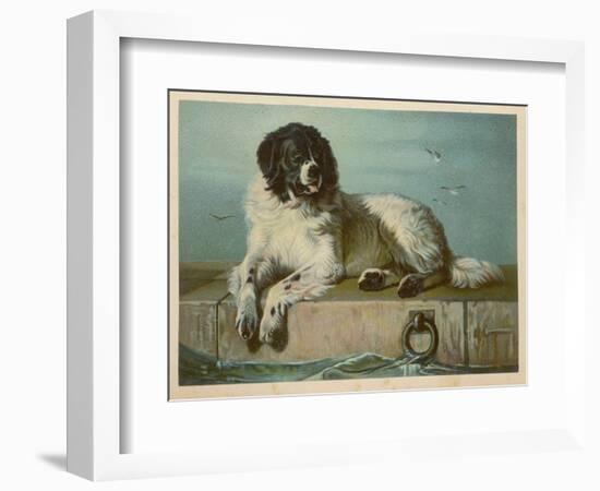 Distinguished Member of the Humane Society-null-Framed Art Print