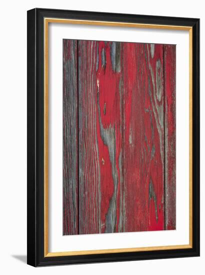 Distressed I-Kathy Mahan-Framed Photographic Print