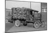 District of Columbia Paper Company Is Getting a Delivery of Logs from Which to Manufacture Paper-null-Mounted Art Print