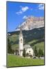 District Stern or La Villa in Front of the Sas Dla Crusc, 'Abtei' or 'Badia', Dolomites-Gerhard Wild-Mounted Photographic Print