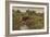 'Disturbing The Fishes', c1901-James Charles-Framed Giclee Print