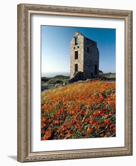 Disused Tin Mine Building Near Zennor, Cornwall, England, United Kingdom-Adam Woolfitt-Framed Photographic Print