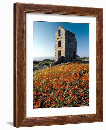 Disused Tin Mine Building Near Zennor, Cornwall, England, United Kingdom-Adam Woolfitt-Framed Photographic Print