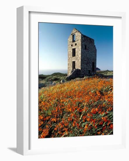 Disused Tin Mine Building Near Zennor, Cornwall, England, United Kingdom-Adam Woolfitt-Framed Photographic Print