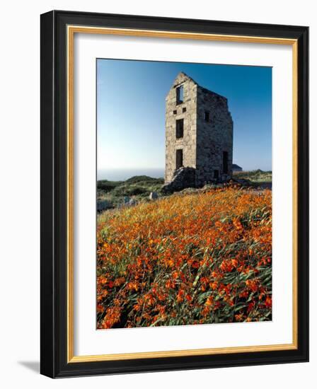 Disused Tin Mine Building Near Zennor, Cornwall, England, United Kingdom-Adam Woolfitt-Framed Photographic Print