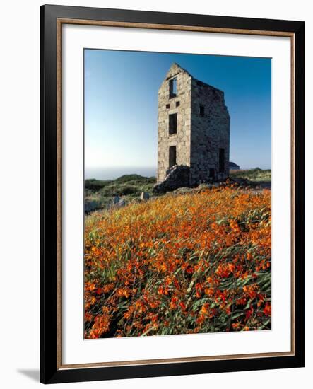 Disused Tin Mine Building Near Zennor, Cornwall, England, United Kingdom-Adam Woolfitt-Framed Photographic Print