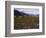 Disused Trapper's Hut and the Grassland, Forest and Glacier of Fort Richardson Park, Alaska, USA-Jeremy Bright-Framed Photographic Print