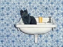 My Bathroom Cat-Ditz-Giclee Print
