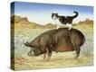 Stretched Canvas Print