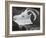 Diurnes - La chèvre à l'horizon-Picasso & Villers-Framed Collectable Print