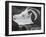 Diurnes - La chèvre à l'horizon-Picasso & Villers-Framed Collectable Print