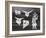 Diurnes - Le magicien aux toros-Picasso & Villers-Framed Premium Edition