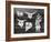 Diurnes - Le magicien aux toros-Picasso & Villers-Framed Premium Edition