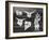 Diurnes - Le magicien aux toros-Picasso & Villers-Framed Premium Edition