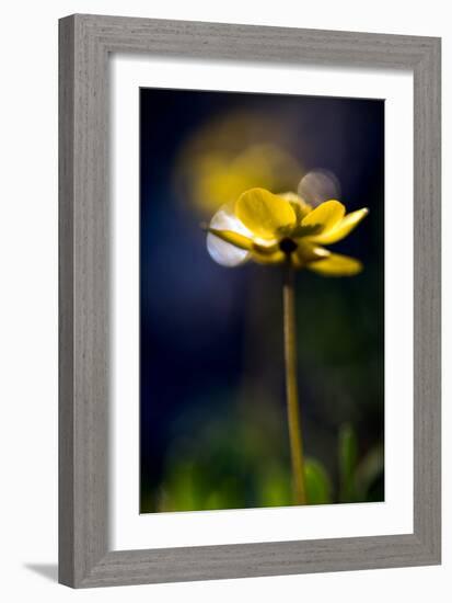 Diva 2-Ursula Abresch-Framed Photographic Print