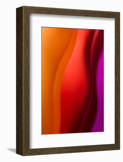 Diva 2-Ursula Abresch-Framed Photographic Print