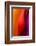 Diva 2-Ursula Abresch-Framed Photographic Print