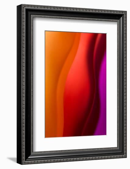 Diva 2-Ursula Abresch-Framed Photographic Print