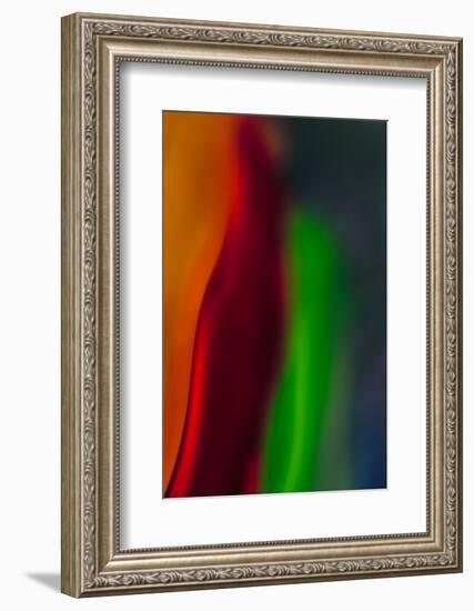 Diva-Ursula Abresch-Framed Photographic Print