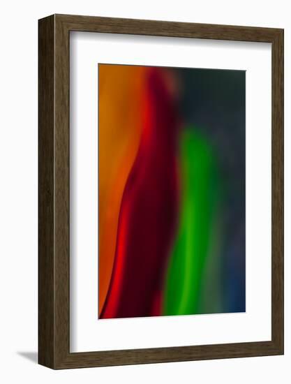 Diva-Ursula Abresch-Framed Photographic Print