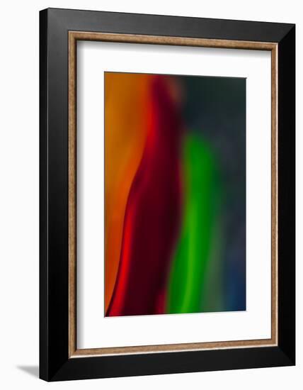 Diva-Ursula Abresch-Framed Photographic Print