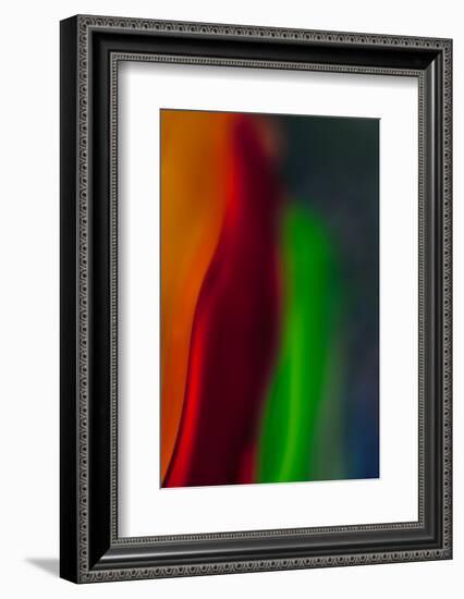 Diva-Ursula Abresch-Framed Photographic Print