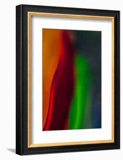 Diva-Ursula Abresch-Framed Photographic Print