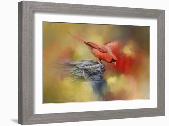 Dive In-Jai Johnson-Framed Giclee Print