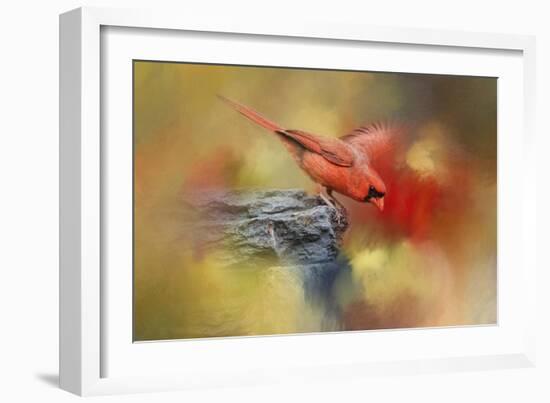 Dive In-Jai Johnson-Framed Giclee Print