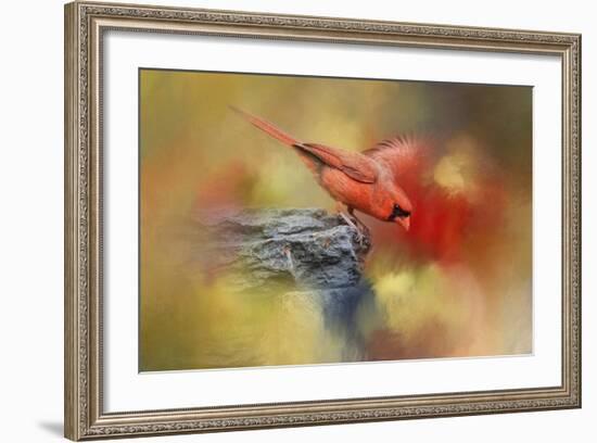 Dive In-Jai Johnson-Framed Giclee Print