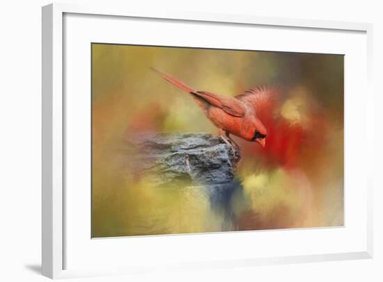 Dive In-Jai Johnson-Framed Giclee Print