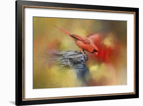 Dive In-Jai Johnson-Framed Giclee Print