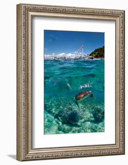 Dive to Philippines-Andrey Narchuk-Framed Photographic Print