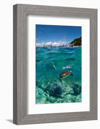 Dive to Philippines-Andrey Narchuk-Framed Photographic Print