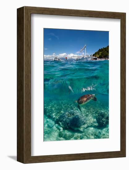 Dive to Philippines-Andrey Narchuk-Framed Photographic Print