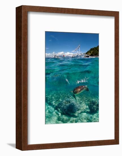 Dive to Philippines-Andrey Narchuk-Framed Photographic Print