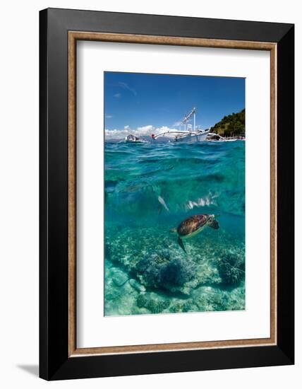 Dive to Philippines-Andrey Narchuk-Framed Photographic Print