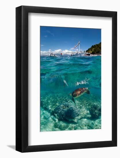 Dive to Philippines-Andrey Narchuk-Framed Photographic Print